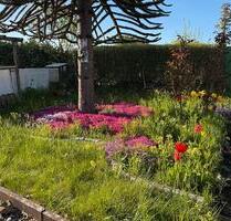 Ein wunderschöner Garten - 1.900,00&nbsp;EUR Kaltmiete, ca.&nbsp; 0,00&nbsp;m&sup2; in Kassel (PLZ: 34125) Fasanenhof
