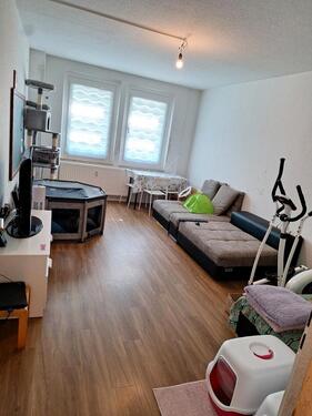 Foto - 1 Zimmer nur für einen Katzenliebhaber