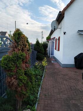 Foto - 3 Zimmer Einfamilienhaus in Guntersblum