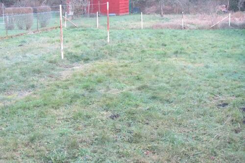 Foto - Einfamilienhaus zum Kaufen in Wadgassen