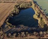 Foto - Einmalig! NATUR PUR Seegrundstück mit Wald