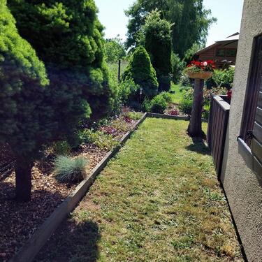 Foto - Grundst&uuml;ck zur Miete in Chemnitz