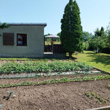 Foto - Grundst&uuml;ck in Chemnitz zur Miete