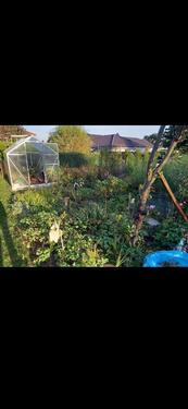 Foto - Schreber-Garten in Freital Wurgwitz abzugeben
