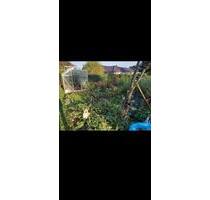 Schreber-Garten in Freital Wurgwitz abzugeben