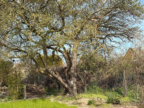 Foto - Grundst&uuml;ck in Timmendorfer Strand