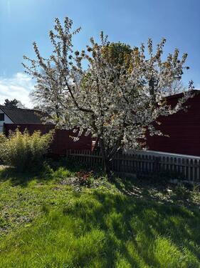 Foto - Grundst&uuml;ck in Kassel