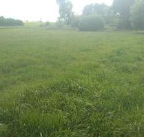 Sommerwiese - 600,00&nbsp;EUR Kaltmiete, ca.&nbsp; 0,00&nbsp;m&sup2; in Mölln (PLZ: 23879)