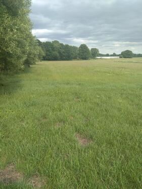 Foto - Grundst&uuml;ck zur Miete in Mölln