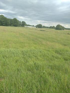 Foto - Grundst&uuml;ck in Mölln