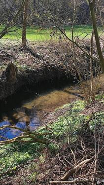 Foto - 3 Zimmer Doppelhaushälfte in Hainichen
