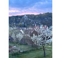 Einfamilienhaus im Dornröschenschlaf - Wellheim