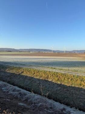 Foto - 4 idyllische Baugrundstücke erschlossen und sofort zu bebauen!!