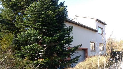 Foto - Haus im ruhigen Babelsberg - 899.000,00&nbsp;EUR Kaufpreis, ca.&nbsp; 150,00&nbsp;m&sup2;