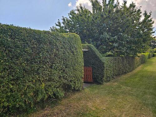 Foto - Kleingarten Seebad Ueckermünde - 2.500,00&nbsp;EUR Kaltmiete, ca.&nbsp; 0,00&nbsp;m&sup2;