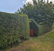 Kleingarten Seebad Ueckermünde - 2.500,00&nbsp;EUR Kaltmiete, ca.&nbsp; 0,00&nbsp;m&sup2; in Neubrandenburg (PLZ: 17033)