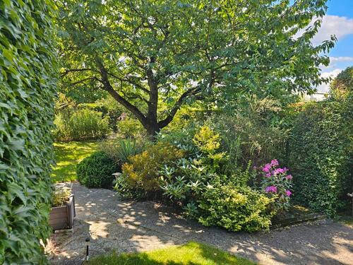 Foto - Grundst&uuml;ck in Neubrandenburg