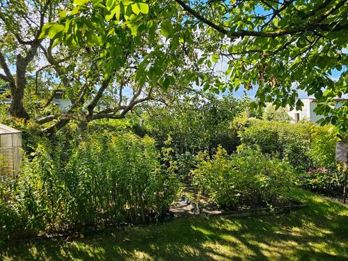 Foto - Grundst&uuml;ck in Neubrandenburg zur Miete