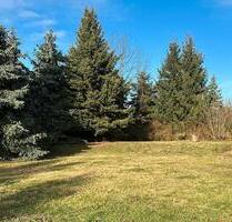 Einfamilienhaus mit großem Grundstück in Süptitz - Torgau