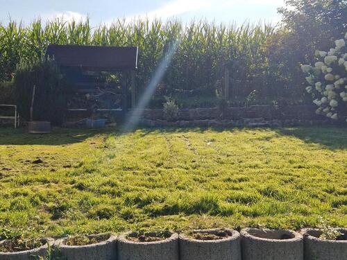 Foto - Grundst&uuml;ck zur Miete in Zwickau