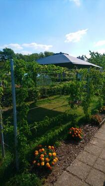 Foto - Grundst&uuml;ck zur Miete in Brand-Erbisdorf