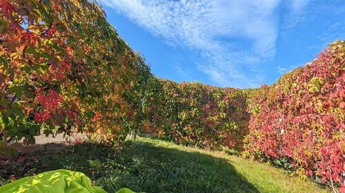 Foto - Grundst&uuml;ck in Brand-Erbisdorf zur Miete