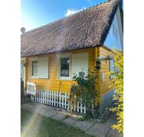 Ferienhaus Butterblume Nordsee Küste Ostfriesland - Südbrookmerland