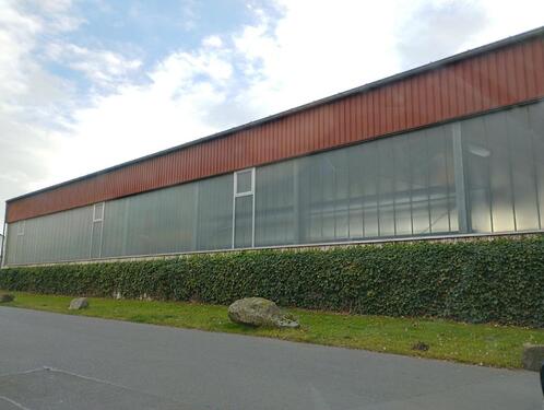 Foto - Halle mit Kran 600m² zu vermieten