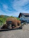 Foto - Ferienhaus Monteurunterkunft - 150,00&nbsp;EUR Kaltmiete, ca.&nbsp; 140,00&nbsp;m&sup2;