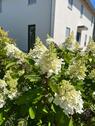 Foto - Einfamilienhaus zum Kaufen in Radebeul
