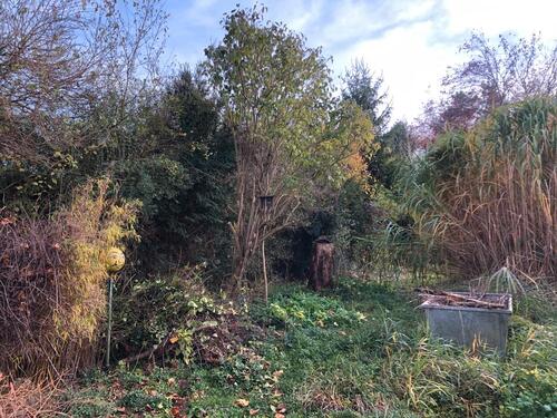 Foto - Grundstück in Sankt Wolfgang zur Miete