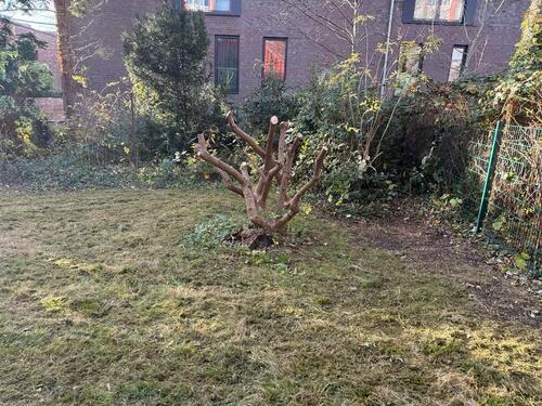 Foto - 4 Zimmer Einfamilienhaus in Husum