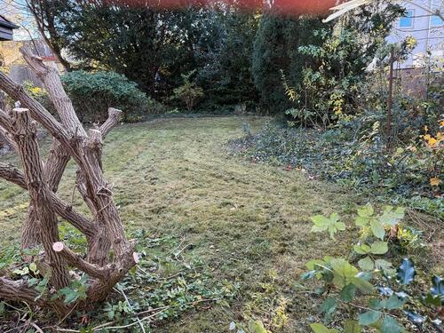 Foto - Einfamilienhaus in Husum zur Miete