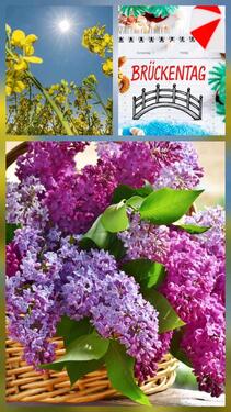 Foto - Himmelfahrt ❤️ 09.05.-17.05.26 Ostsee Graal-Müritz