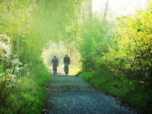 Foto - 2 Zimmer Terrassenwohnung zum Kaufen in Berlin