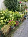 Foto - Einfamilienhaus zum Kaufen in Wuppertal
