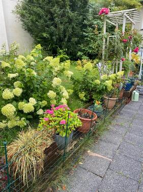 Foto - Einfamilienhaus zum Kaufen in Wuppertal