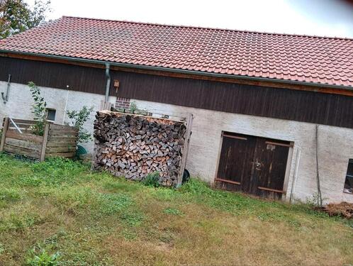 Foto - 5 Zimmer Einfamilienhaus in Märkische Heide