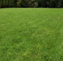 Stellplatz für Wohnwagen Wohnmobil Anhänger Boot. - Langenhagen Brink Stellplatz für Wohnwagen Wohnmobil Anhänger Boot. - Langenhagen Brink