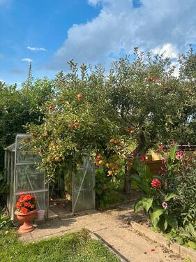 Foto - Grundst&uuml;ck in Hameln