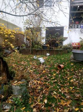 Foto - 5 Zimmer Einfamilienhaus in Idstein