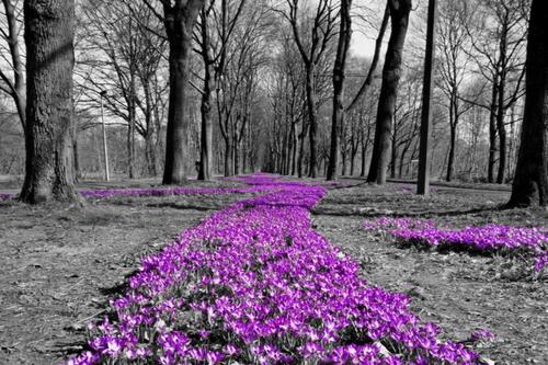 Foto - Siedlungshof in Alleinlage - 950.000,00 EUR Kaufpreis,