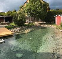 Wie ein Haus: 3-Zi.-ETW mit Traumgarten, Schwimmteich & Kamin - Hildesheim Oststadt/Stadtfeld