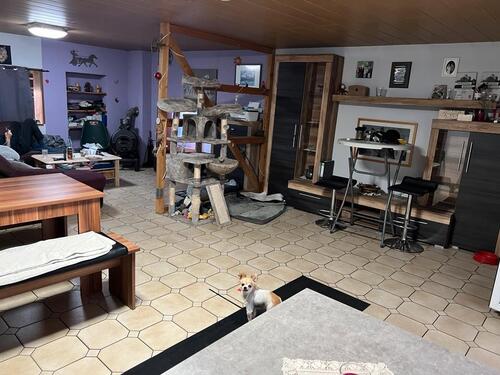 Foto - Einfamilienhaus in Trendelburg