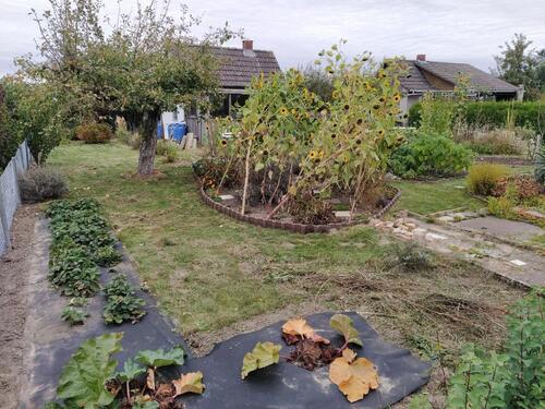 Foto - Grundst&uuml;ck in Braunschweig