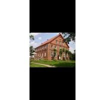 Wohnung in der Krummhörn (Hamswehrum)