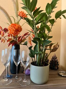 Foto - 3 Zimmer Erdgeschoßwohnung zur Miete in Schwarzenbruck