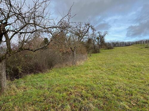 Foto - Grundstück zur Miete in Bretten