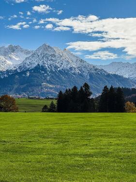Foto - Fischen Zimmer in WG zu vermieten