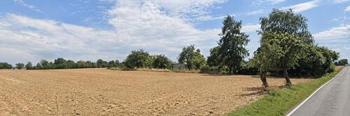 Foto - Eigentum-Freizeitgrundstück in Alleinlage Nähe Bautzen zu verpachten